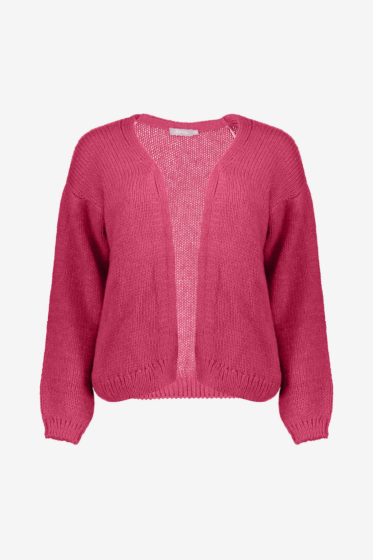 Geisha dames basic gebreide vest